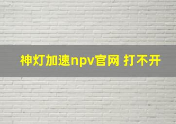 神灯加速npv官网 打不开